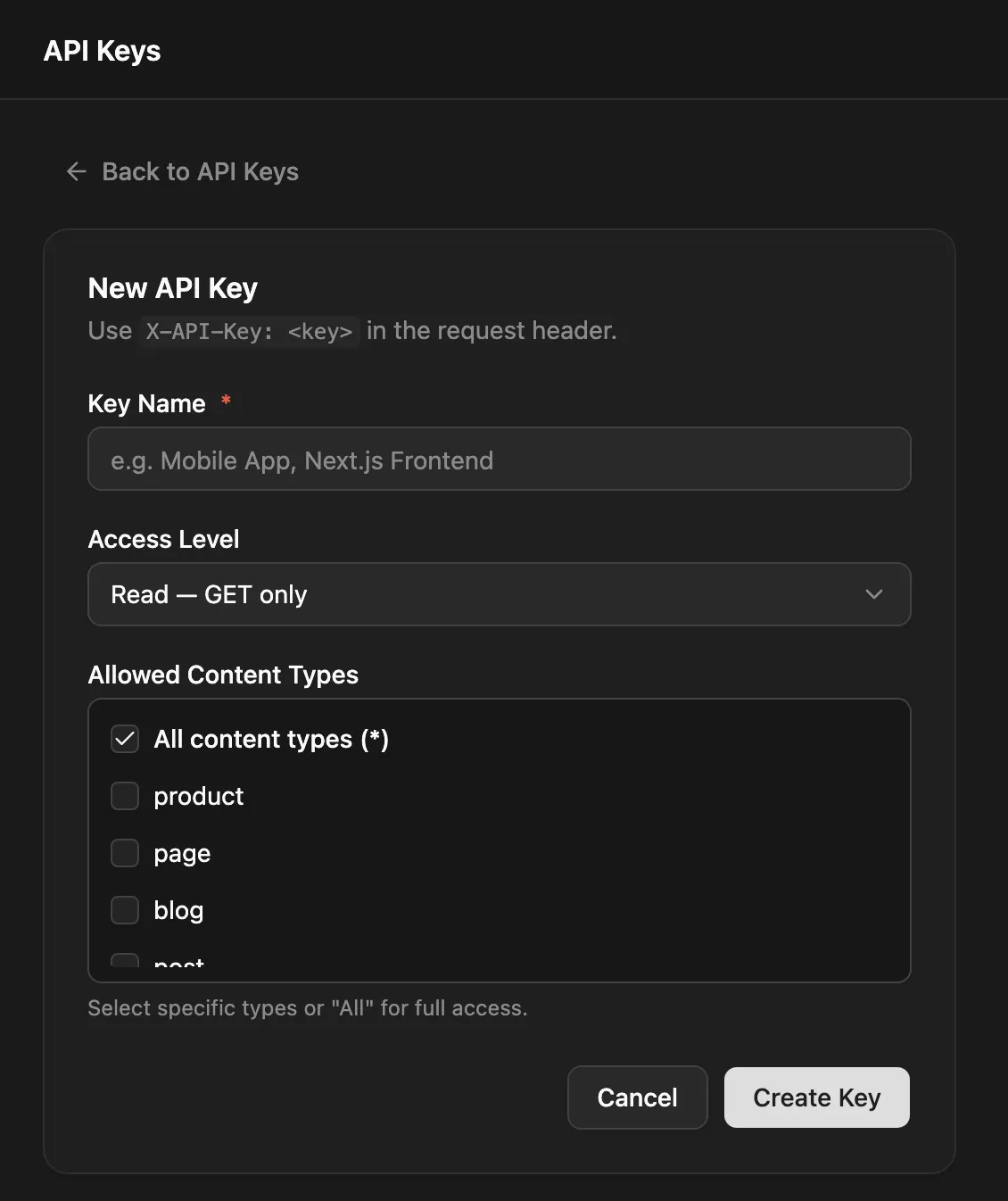 The New API Key form with key name, access level and allowed content types